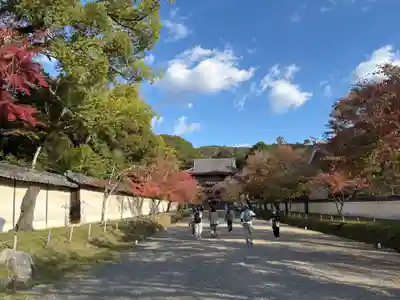 醍醐寺(京都府)