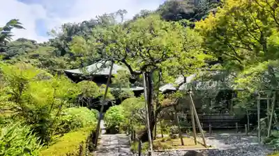 瑞泉寺(神奈川県)