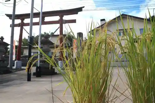 大鏑神社の自然