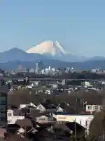 高幡不動尊 金剛寺(東京都)