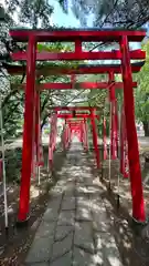 於菊稲荷神社(群馬県)