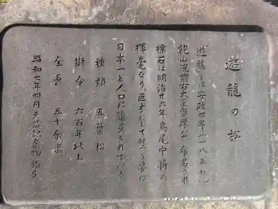 善峯寺(京都府)