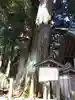 大杉神社(三重県)