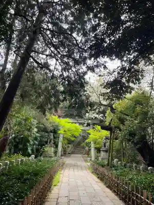 赤坂氷川神社(東京都)