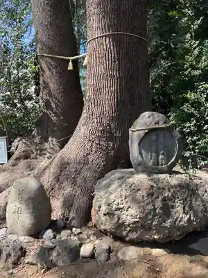 開運招福 飯玉神社(群馬県)