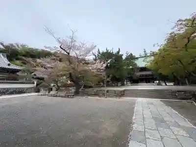円覚寺(神奈川県)