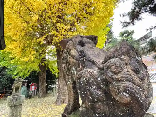 桃山天満宮の狛犬