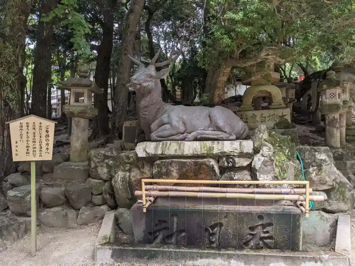 春日大社の手水舎