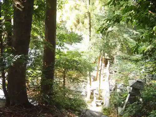杉尾神社(和歌山県)
