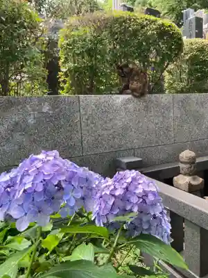 妙楽寺(神奈川県)