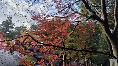 出雲大神宮の周辺