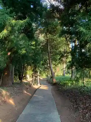 八幡神社(千葉県)
