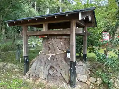 大原野神社(京都府)