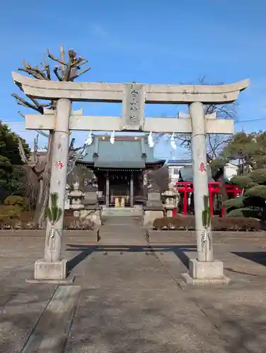 白山神社(東京都)