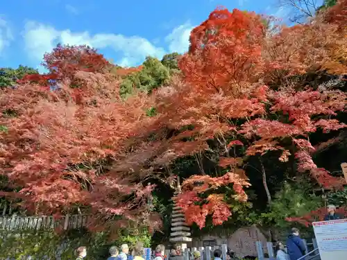 犬山寂光院(愛知県)