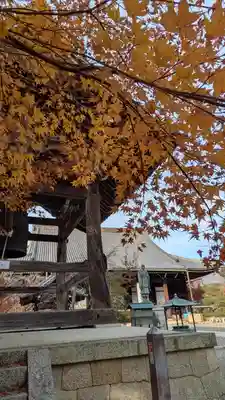 光明寺（粟生光明寺）(京都府)