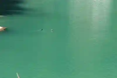 浄見原神社の動物