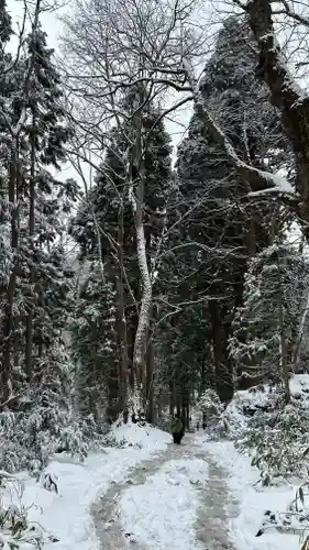 戸隠神社九頭龍社(長野県)