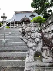 長谷寺の狛犬