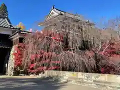 眞田神社の周辺