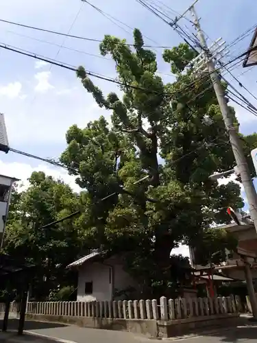 住吉神社の周辺