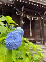 手力雄神社(岐阜県)