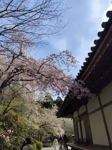 三千院門跡(京都府)