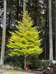 日光大室高龗神社(栃木県)