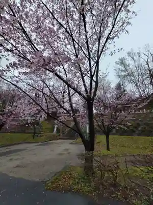 厚別神社の自然