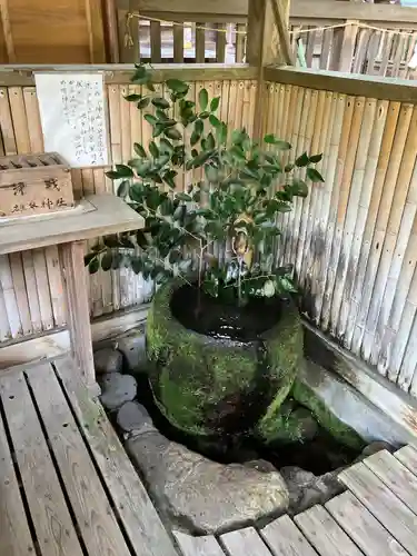 雄琴神社(栃木県)