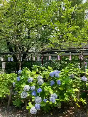 若宮八幡社(愛知県)