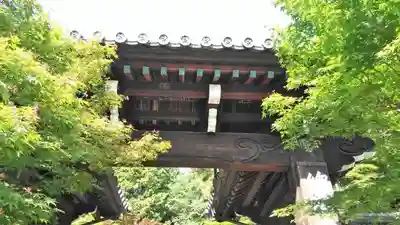 光明寺（粟生光明寺）の山門・神門