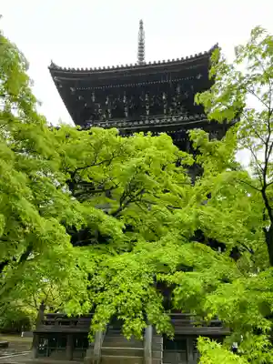 真正極楽寺(真如堂)(京都府)