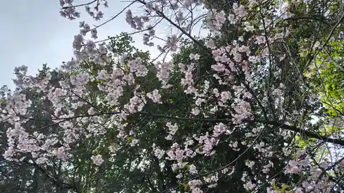 雲龍院(京都府)