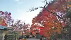 常照寺の建物その他