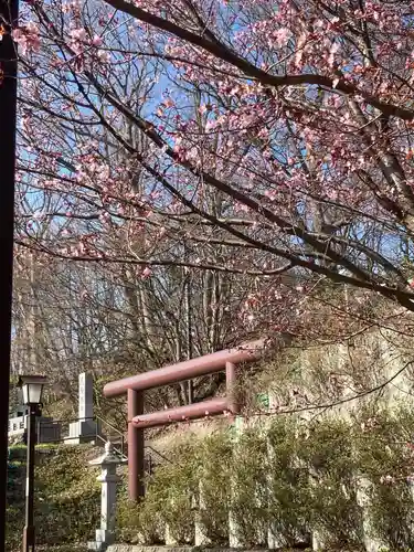 厚別神社の鳥居