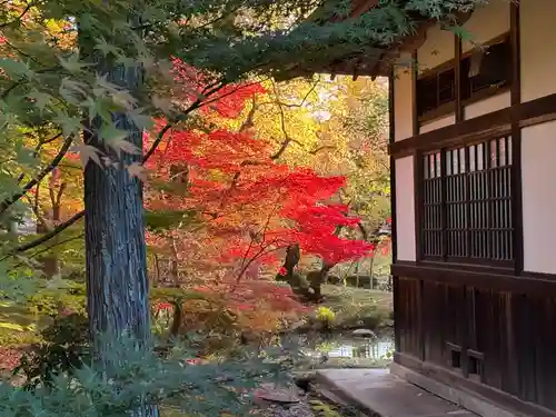 禅林寺（永観堂）(京都府)