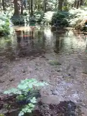 水分神社の自然