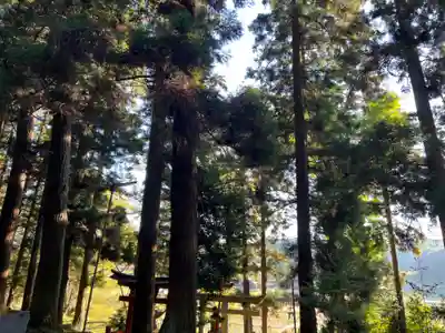 大宮温泉神社(栃木県)