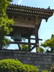 本願寺（西本願寺）(京都府)