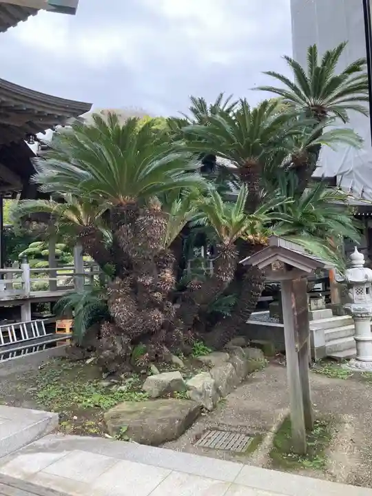 光明寺(神奈川県)