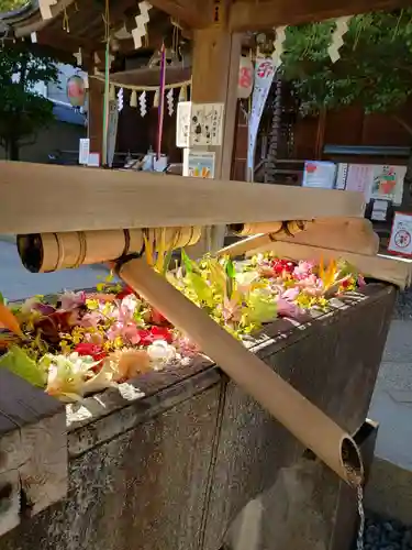 鳩森八幡神社の手水舎