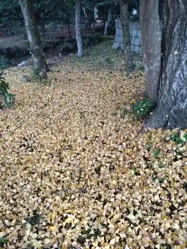 奥石神社(滋賀県)