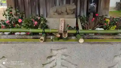 北野天満宮の手水舎