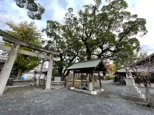 須賀神社の鳥居