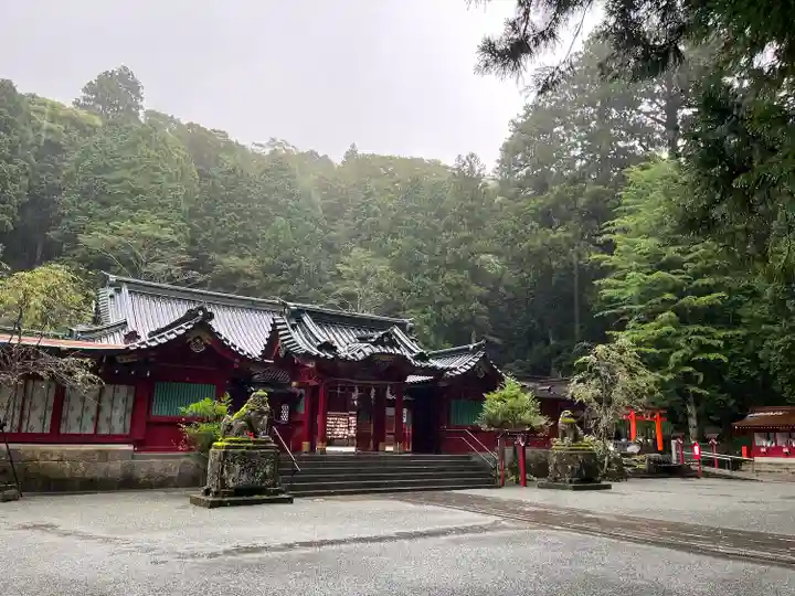 箱根神社の本殿・本堂