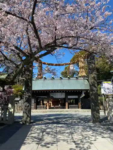 伊勢山皇大神宮の鳥居