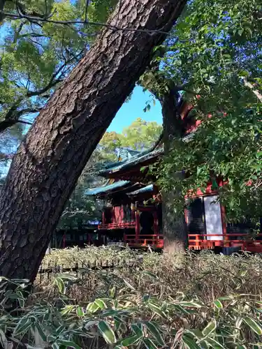 根津神社(東京都)