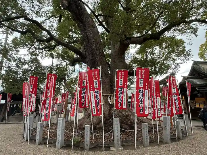 楠珺社(住吉大社末社)の{uncategorized: "未分類", other: "その他", undefined: "問題あり", building: "その他建物", grave: "お墓", sacred_gate: "鳥居", guardian: "狛犬", statue: "像", buddha: "仏像", history: "歴史", nature: "自然", garden: "庭園", animal: "動物", pagoda: "塔", temizu: "手水舎", mountain_gate: "山門・神門", sanctuary: "本殿・本堂", subordinate: "末社・摂社", art: "芸術", scenery: "景色", jizo: "地蔵", ema: "絵馬", goshuin: "御朱印", omikuji: "おみくじ", items: "授与品その他", amulet: "お守り", goshuincho: "御朱印帳", eats: "食事", festival: "お祭り", votive_dance: "神楽", shichigosan: "七五三参", wedding: "結婚式", experience: "体験その他", initially: "初詣", around: "周辺", anti_infection: "感染症対策"}