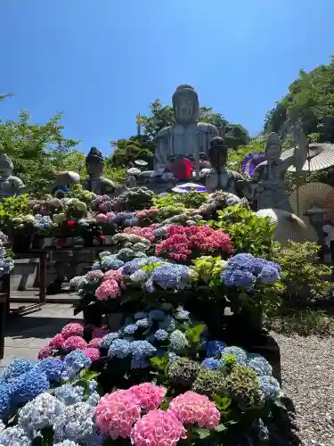 南法華寺（壷阪寺）(奈良県)